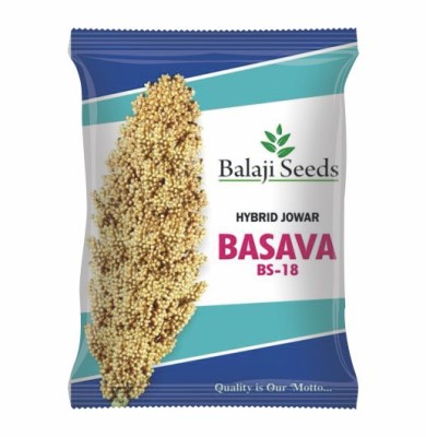 HY. JOWAR BASAVA BS - 18